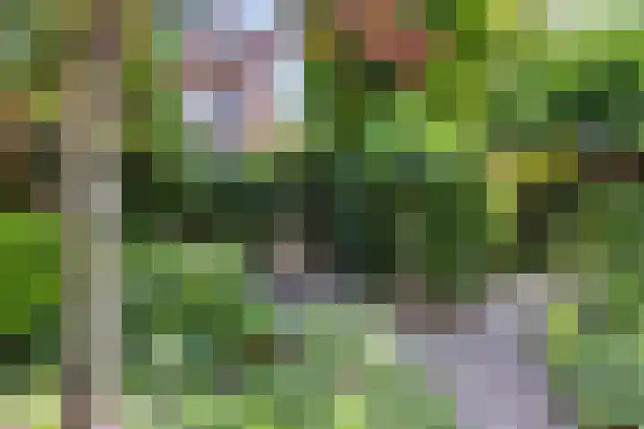Staringlaan 1 Apeldoorn thumbnail 24