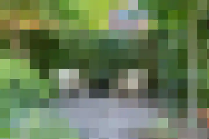 Staringlaan 1 Apeldoorn thumbnail 25