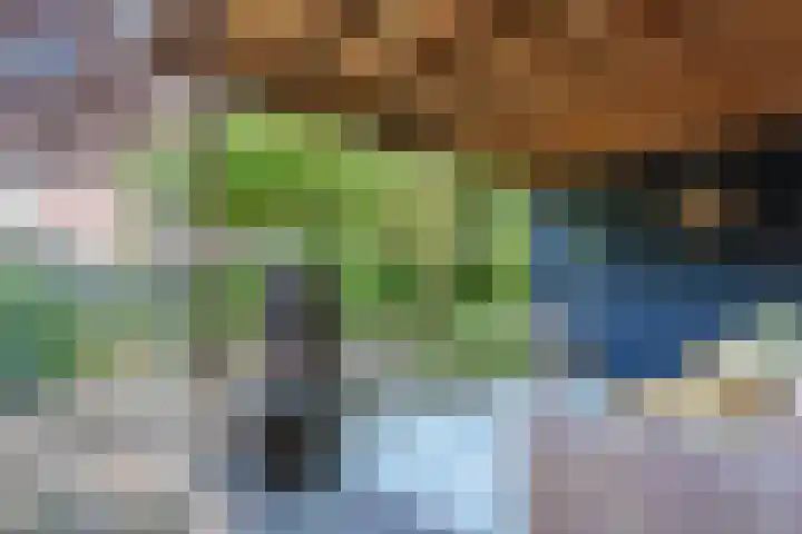 Staringlaan 1 Apeldoorn thumbnail 28