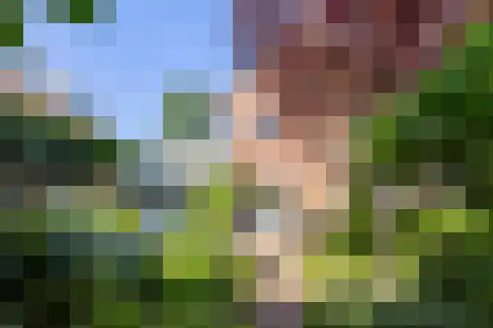 Staringlaan 1 Apeldoorn thumbnail 30