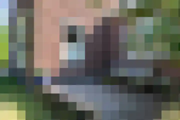 Staringlaan 1 Apeldoorn thumbnail 32