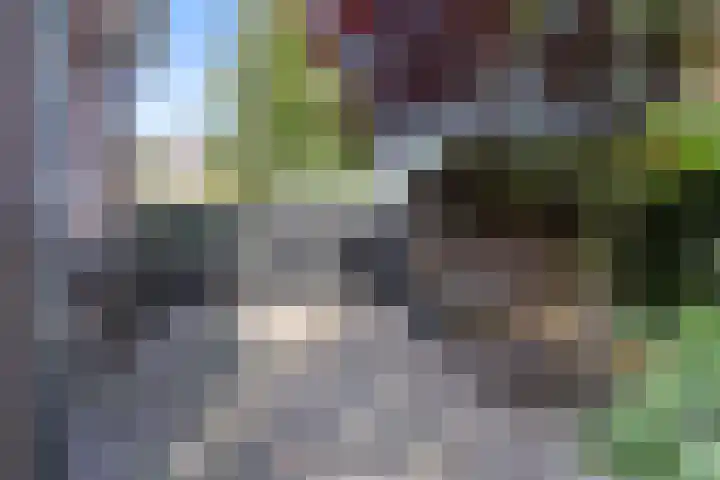 Staringlaan 1 Apeldoorn thumbnail 33