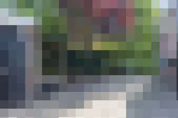 Staringlaan 1 Apeldoorn thumbnail 34