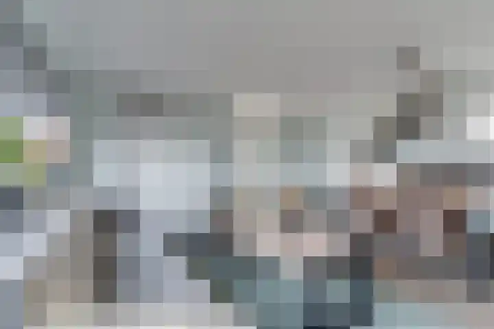 Staringlaan 1 H Waddinxveen thumbnail 13