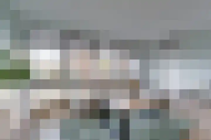 Staringlaan 1 H Waddinxveen thumbnail 15