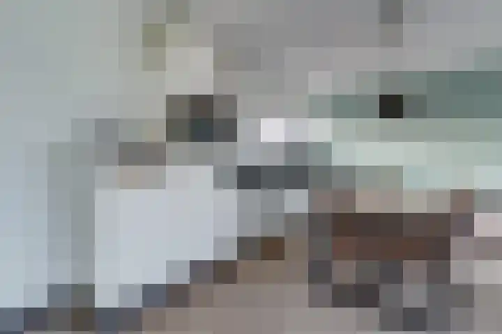 Staringlaan 1 H Waddinxveen thumbnail 18
