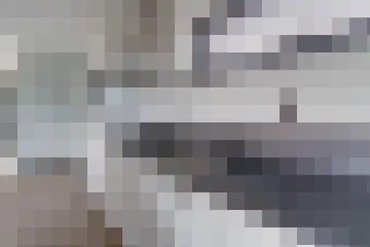 Staringlaan 1 H Waddinxveen thumbnail 21