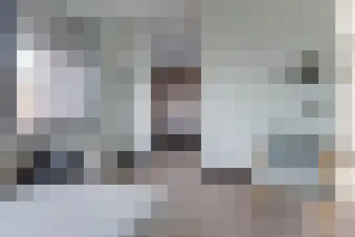 Staringlaan 1 H Waddinxveen thumbnail 22