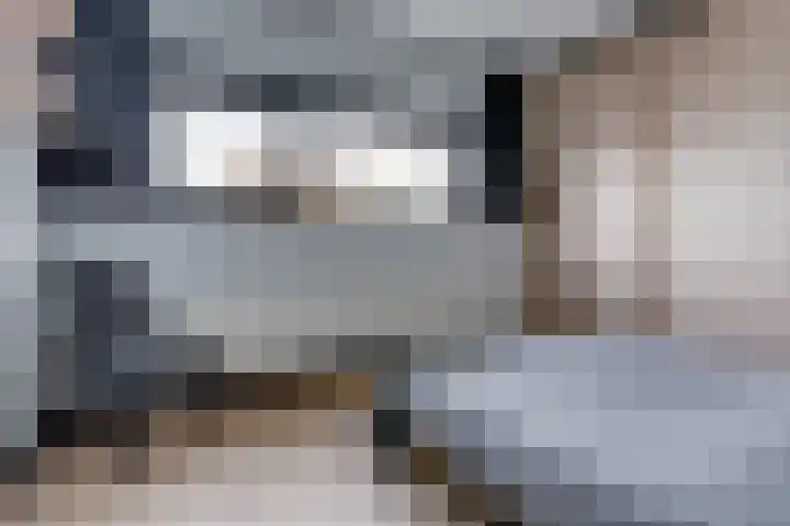 Staringlaan 1 H Waddinxveen thumbnail 25