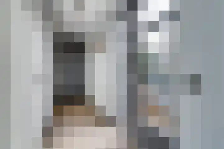 Staringlaan 1 H Waddinxveen thumbnail 26