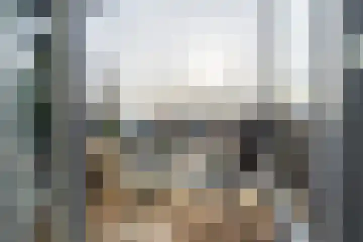 Staringlaan 1 H Waddinxveen thumbnail 27
