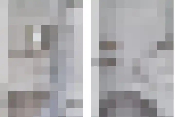 Staringlaan 1 H Waddinxveen thumbnail 31