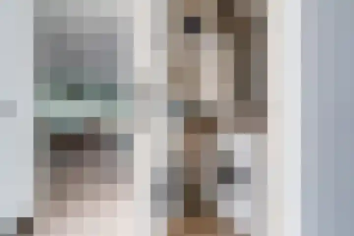 Staringlaan 1 H Waddinxveen thumbnail 33