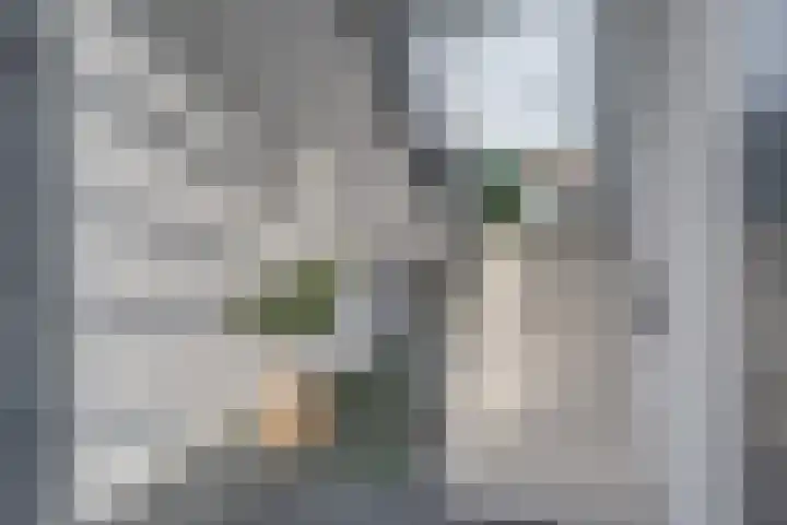 Staringlaan 1 H Waddinxveen thumbnail 6