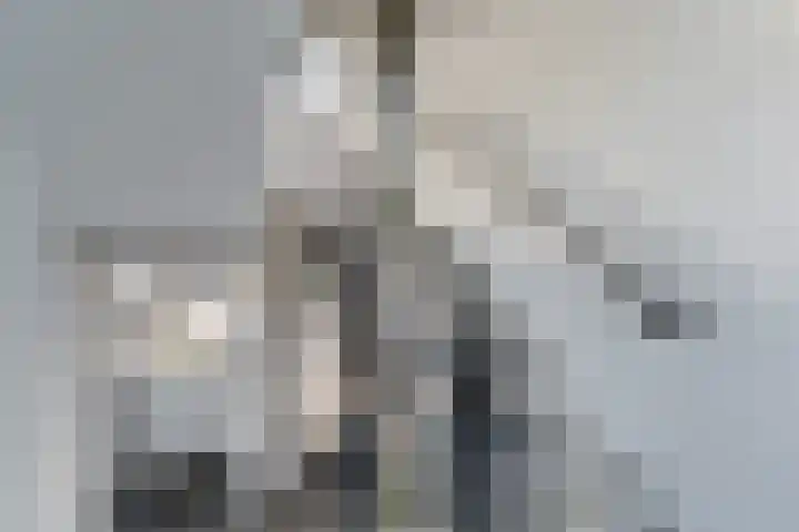 Staringlaan 1 H Waddinxveen thumbnail 7