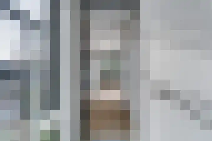 Staringlaan 1 H Waddinxveen thumbnail 8