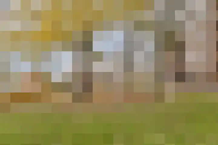 Staringlaan 108 Papendrecht thumbnail 18