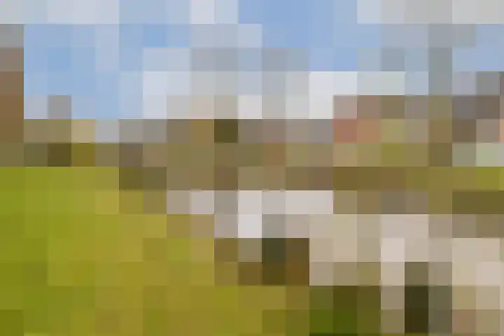 Staringlaan 108 Papendrecht thumbnail 19