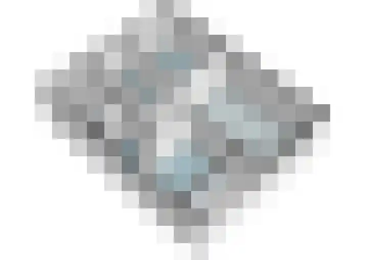 Staringlaan 108 Papendrecht thumbnail 21