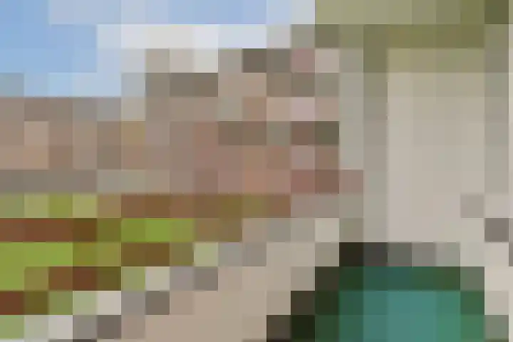 Staringlaan 108 Papendrecht thumbnail 4