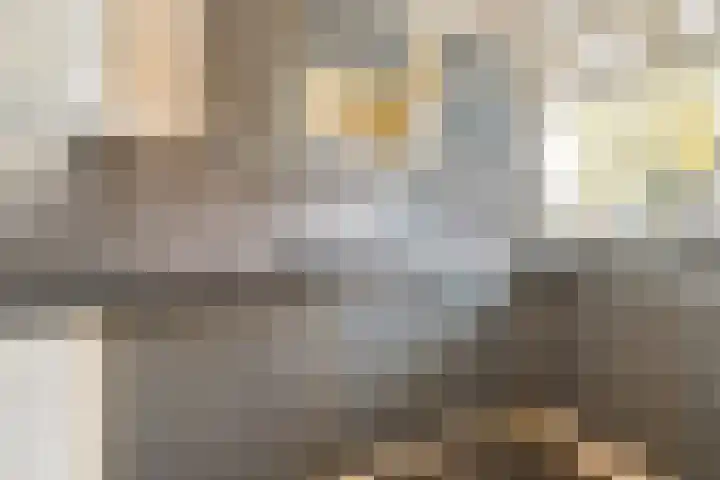 Staringlaan 108 Papendrecht thumbnail 7