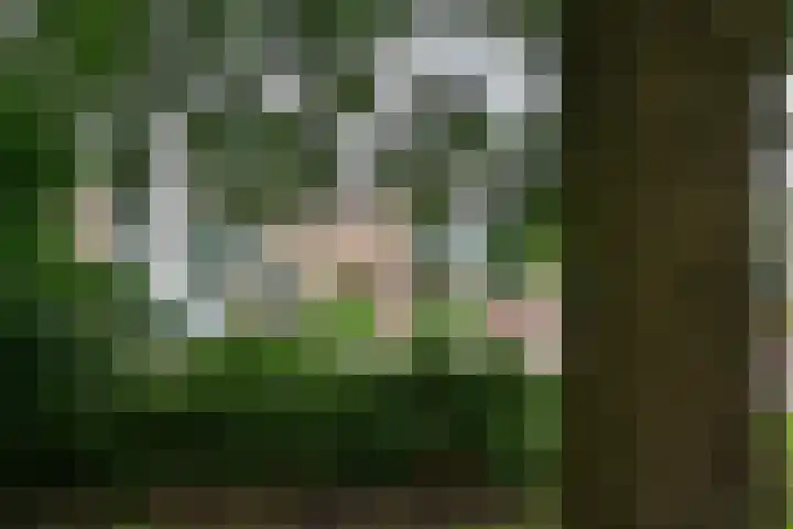 Staringlaan 11 Uithoorn thumbnail 14