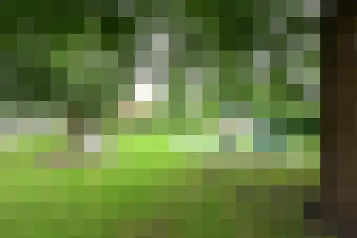 Staringlaan 11 Uithoorn thumbnail 15