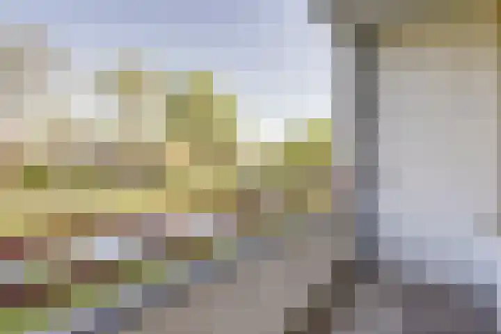 Staringlaan 128 Papendrecht thumbnail 10