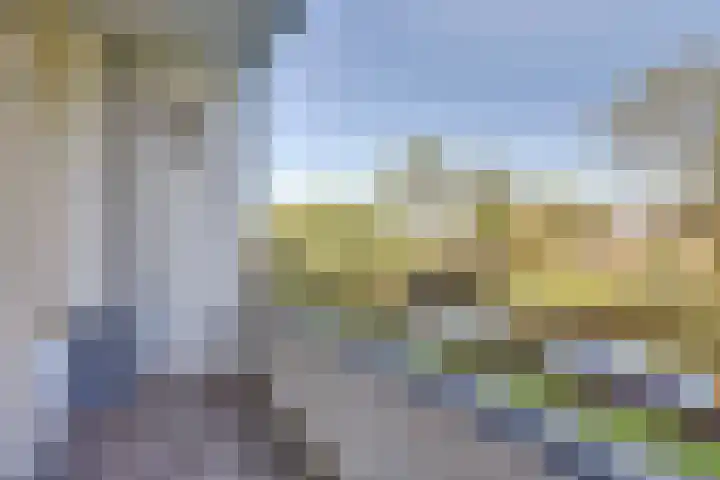 Staringlaan 128 Papendrecht thumbnail 11