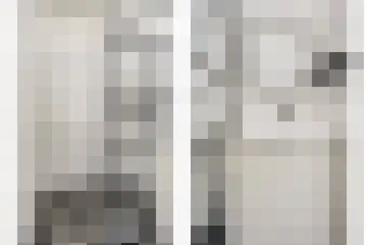 Staringlaan 128 Papendrecht thumbnail 13