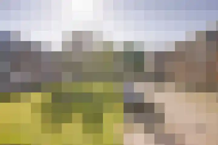 Staringlaan 128 Papendrecht thumbnail 14