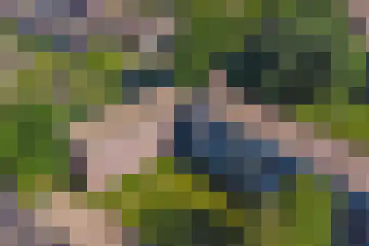Staringlaan 128 Papendrecht thumbnail 15