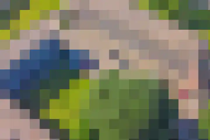 Staringlaan 128 Papendrecht thumbnail 17