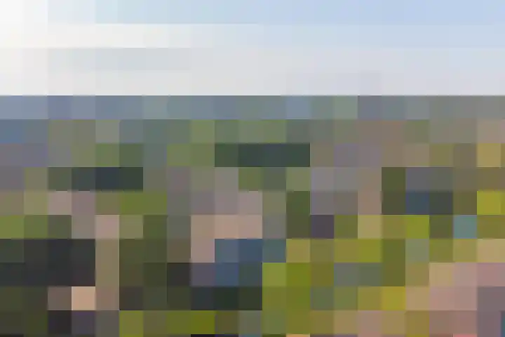 Staringlaan 128 Papendrecht thumbnail 18