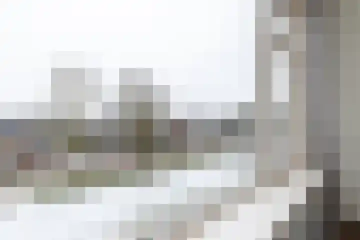 Staringlaan 150 Papendrecht thumbnail 13