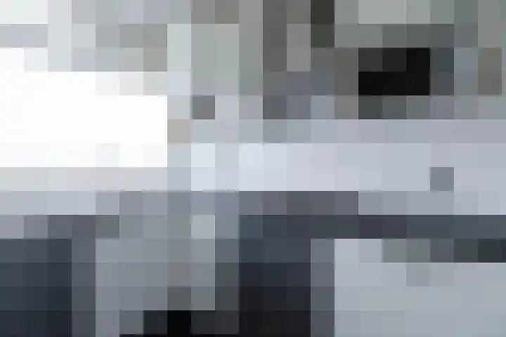 Staringlaan 150 Papendrecht thumbnail 18
