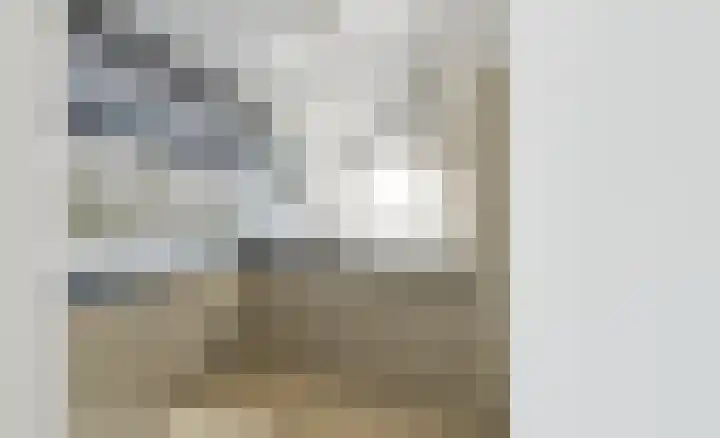 Staringlaan 150 Papendrecht thumbnail 19