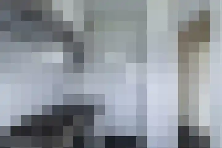 Staringlaan 150 Papendrecht thumbnail 20