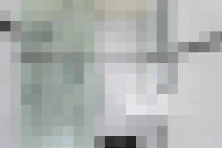 Staringlaan 150 Papendrecht thumbnail 25