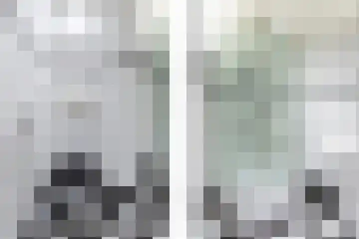 Staringlaan 150 Papendrecht thumbnail 26