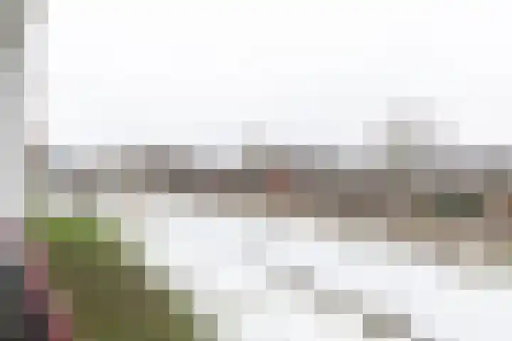 Staringlaan 150 Papendrecht thumbnail 4