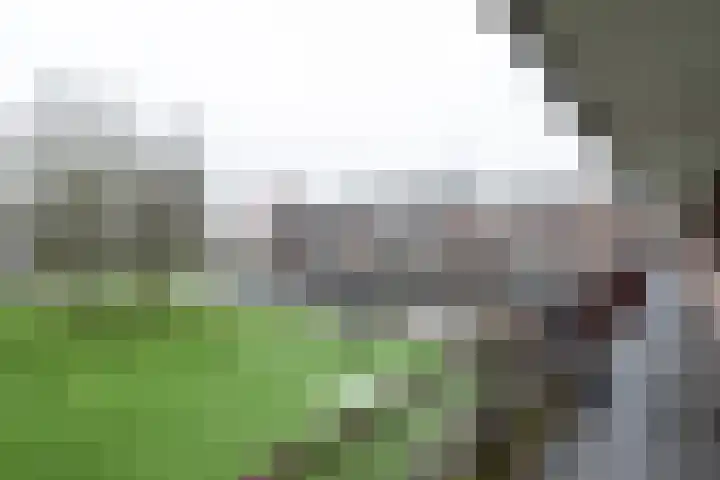 Staringlaan 150 Papendrecht thumbnail 6