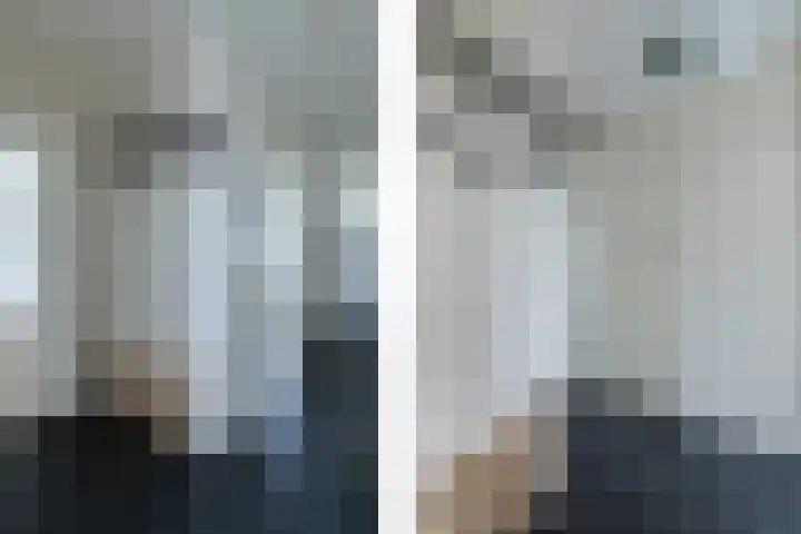 Staringlaan 150 Papendrecht thumbnail 8