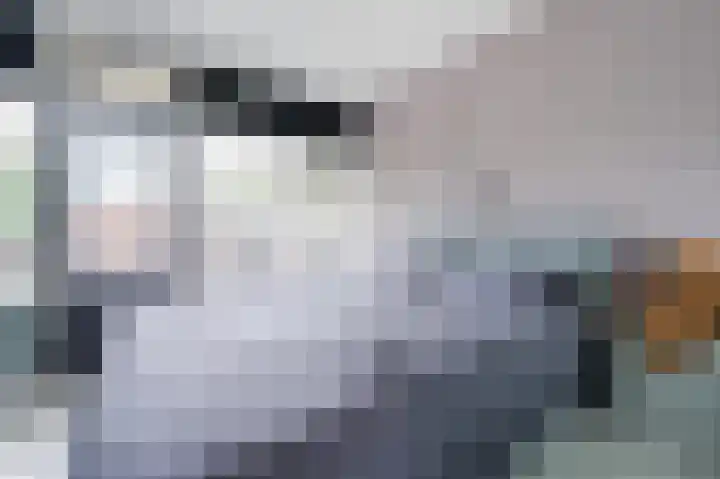 Staringlaan 168 Papendrecht thumbnail 12