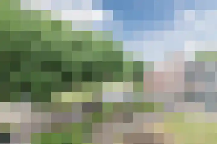 Staringlaan 168 Papendrecht thumbnail 17
