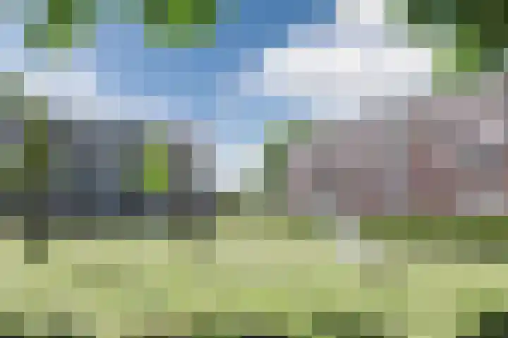 Staringlaan 168 Papendrecht thumbnail 31