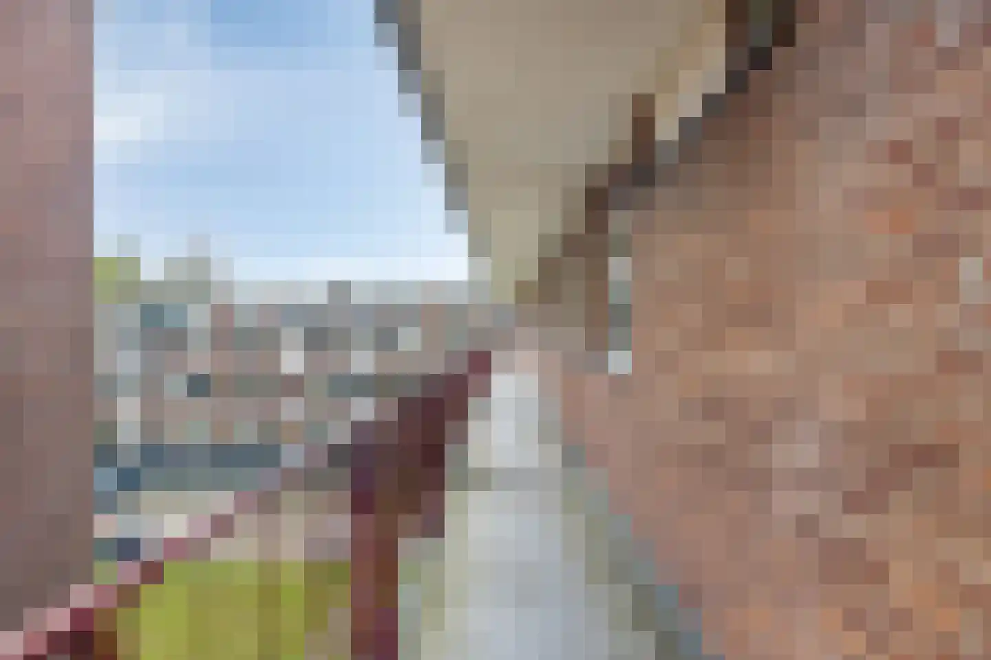 Staringlaan 170 Papendrecht thumbnail 8