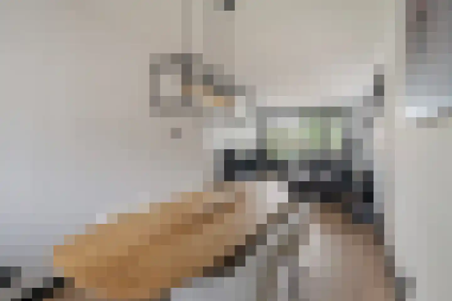 Staringlaan 224 Papendrecht thumbnail 12