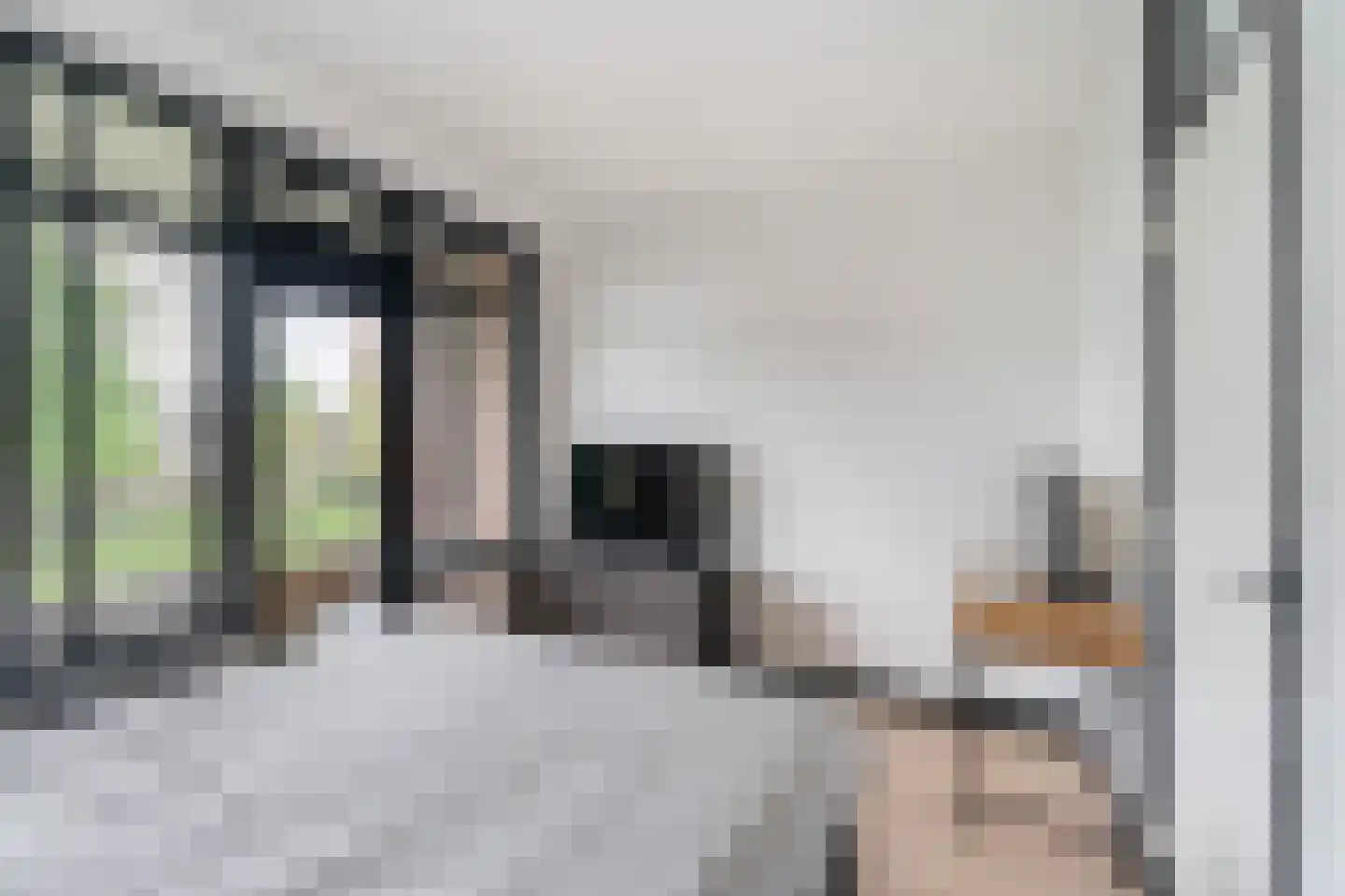 Staringlaan 224 Papendrecht thumbnail 15