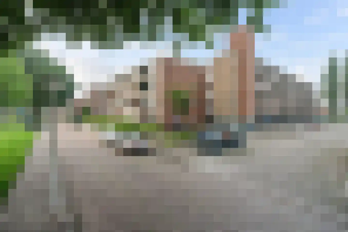 Staringlaan 224 Papendrecht thumbnail 22